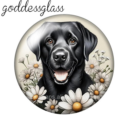 ‌ Perros Adorables entre las F - Body Jewelry Top reseña y precio